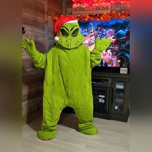 The Grinch Costume